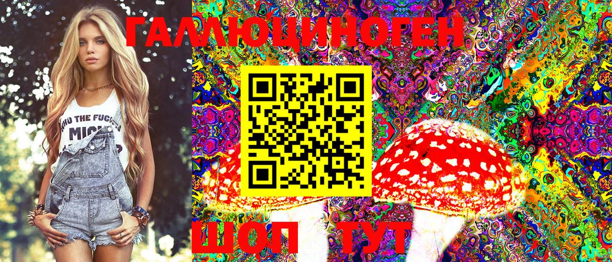 Псилоцибиновые грибы Psilocybine cubensis Сыктывкар