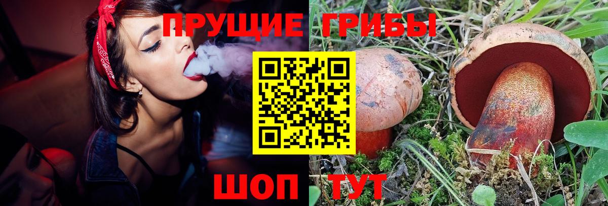 Галлюциногенные грибы Magic Shrooms  Вход с VPN  Галлюциногенные грибы прущие грибы  Сыктывкар 